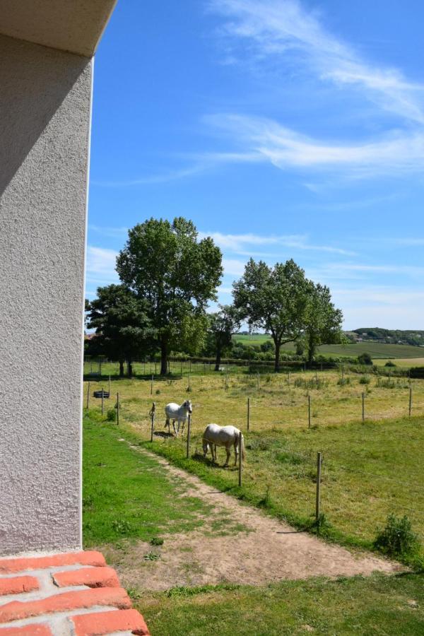 Le Clos De L'Angley Gites Et Ecurie Caffiers Exterior foto